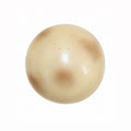 🥔 Crunchy Potato Ball Squishy
